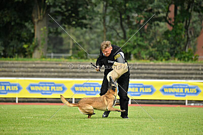 Stylish Motion`s Apple